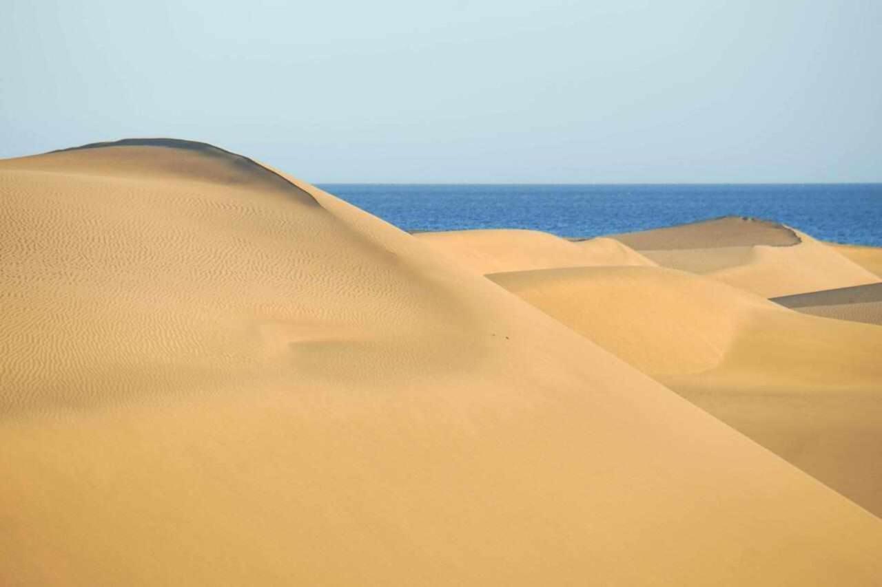 Los Albaricoques Maspalomas  Luaran gambar